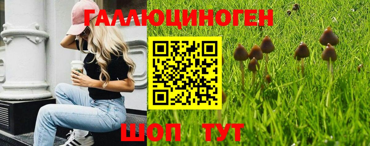 Псилоцибиновые грибы ЛСД  сколько стоит  Псилоцибиновые грибы GOLDEN TEACHER  Жуковский  Вход с VPN 